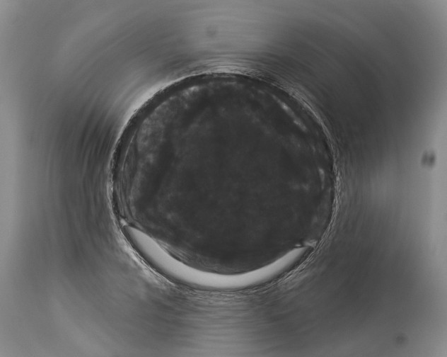 X0000114161024200911051500