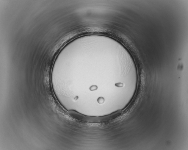 X0000114161025200911051500