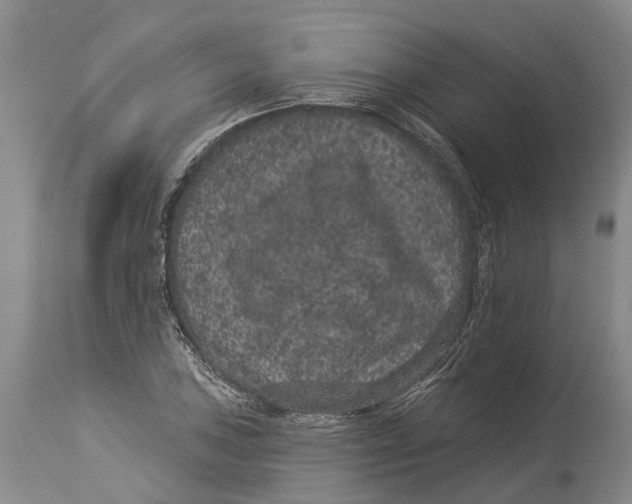 X0000114161027200911051500