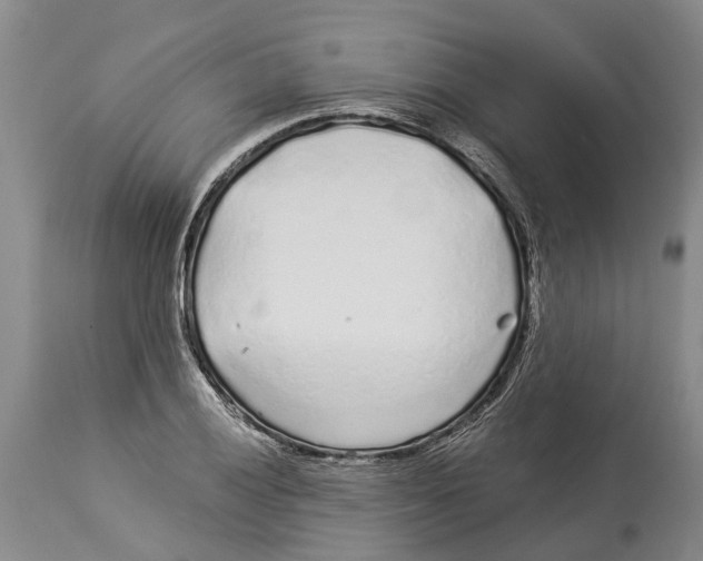 X0000114161028200911051500