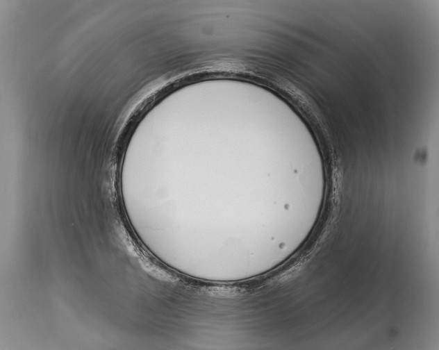 X0000114161029200911051500