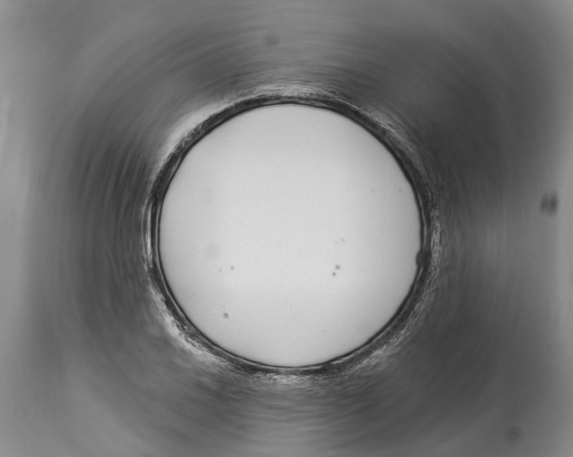 X0000114161030200911051500