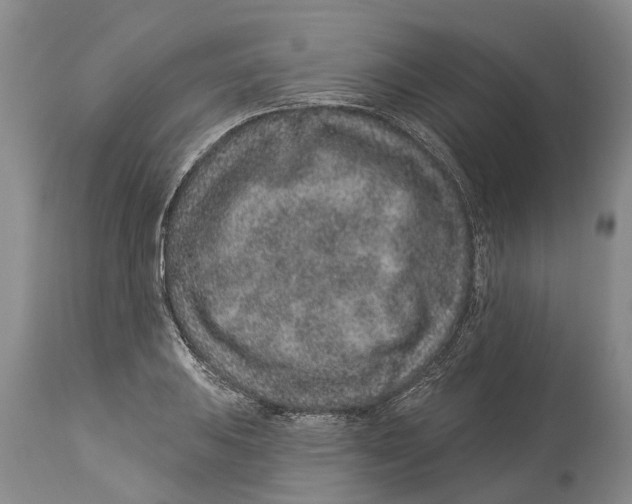 X0000114161031200911051500