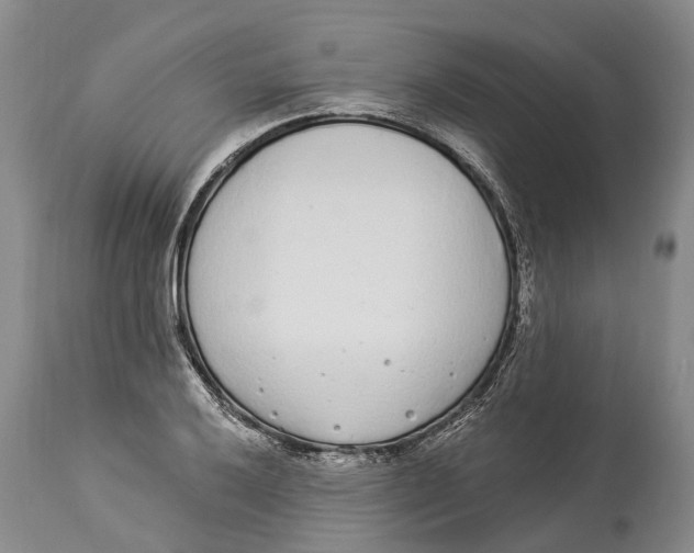 X0000114161032200911051500