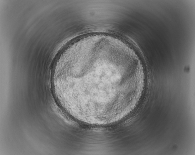 X0000114161035200911051500