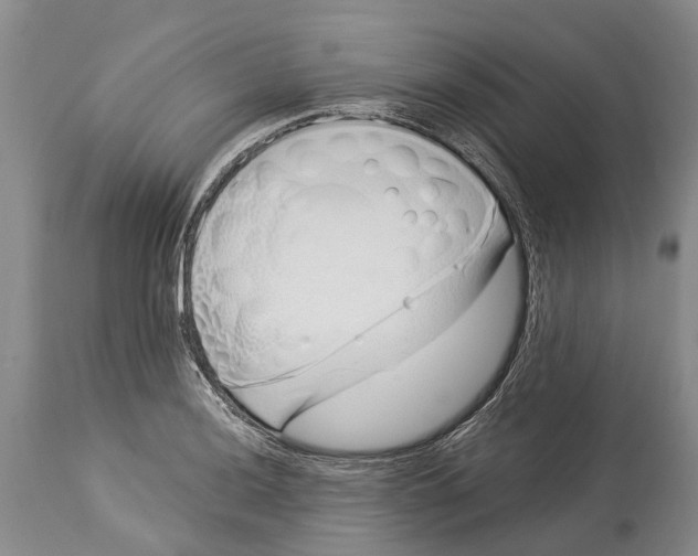 X0000114161036200911051500