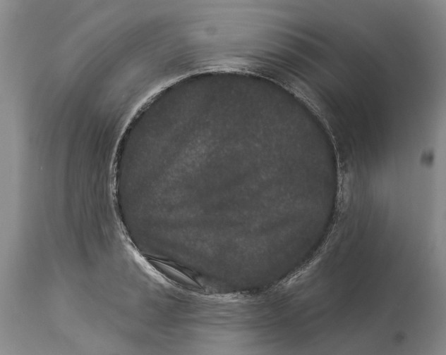 X0000114161037200911051500