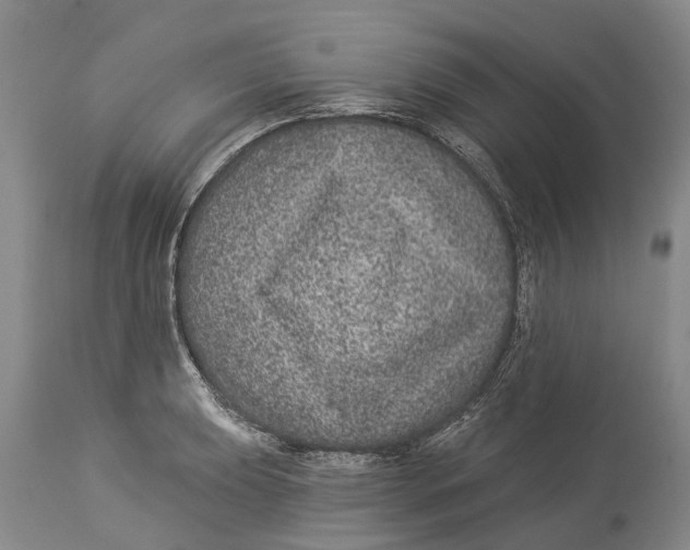 X0000114161039200911051500