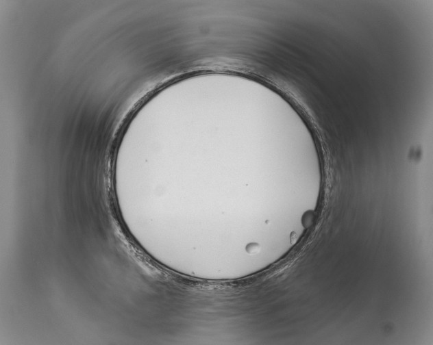 X0000114161040200911051500