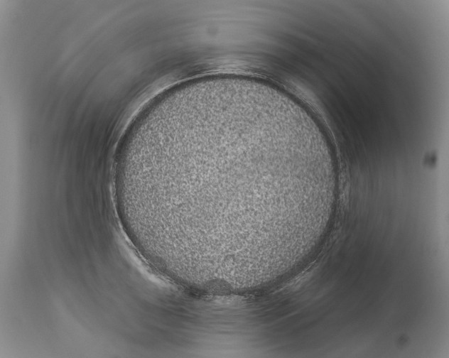 X0000114161043200911051500