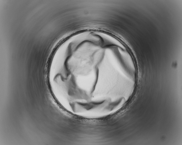 X0000114161045200911051500