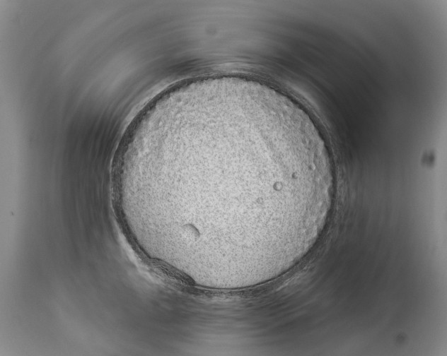 X0000114161047200911051500