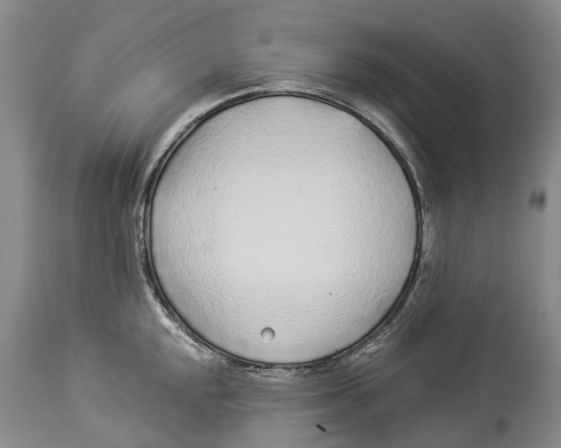 X0000114161048200911051500