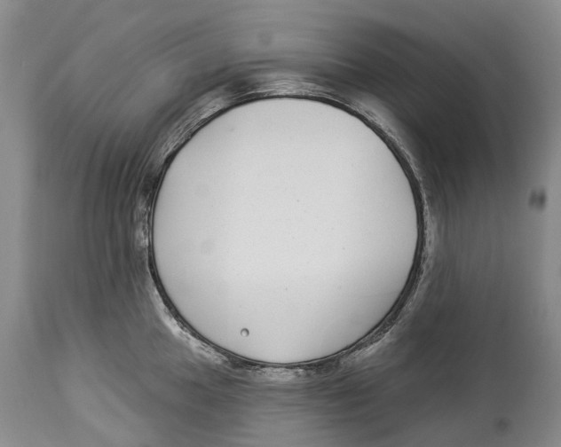 X0000114161049200911051500