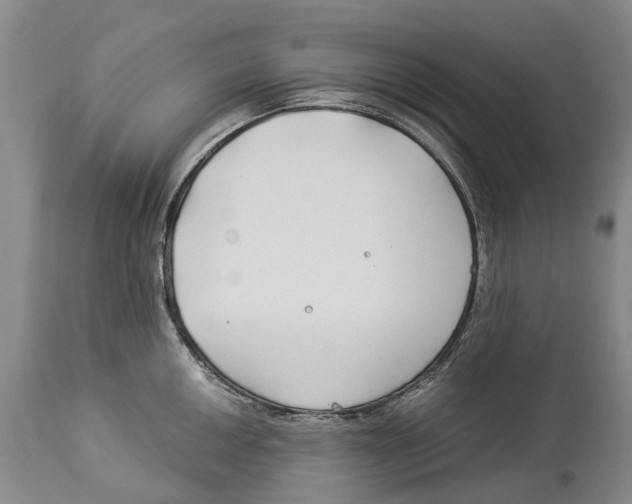 X0000114161050200911051500