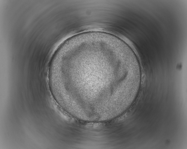 X0000114161051200911051500