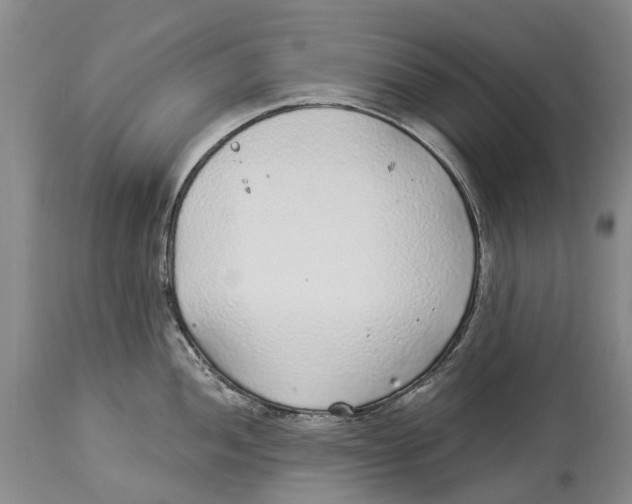 X0000114161052200911051500