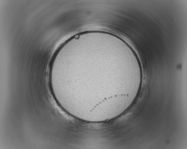 X0000114161053200911051500