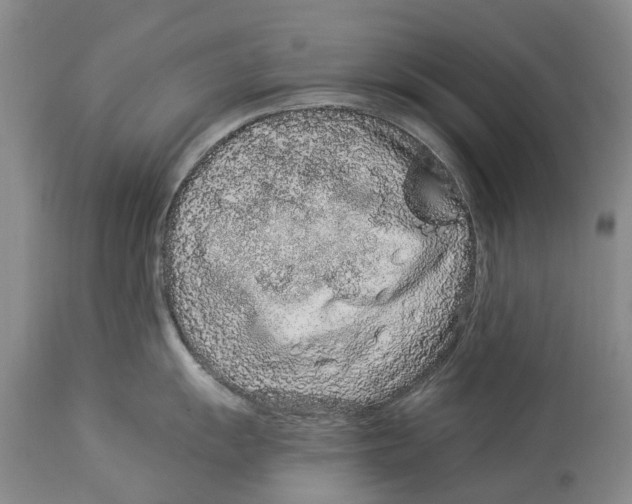 X0000114161055200911051500