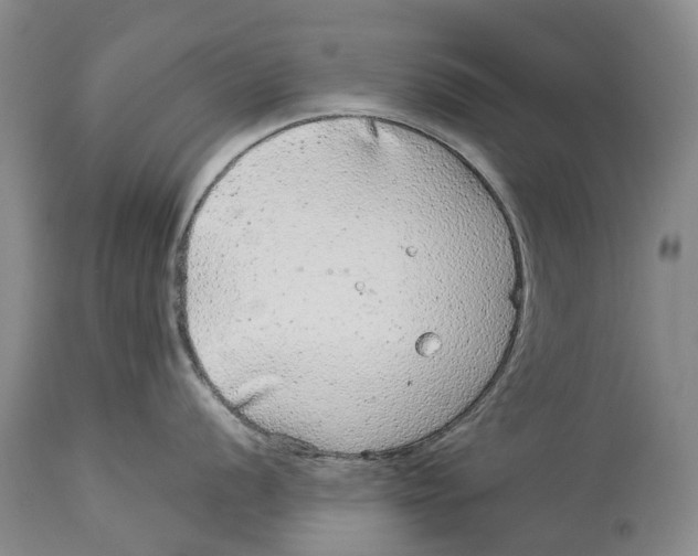 X0000114161056200911051500