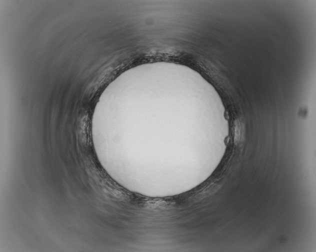 X0000114161059200911051459