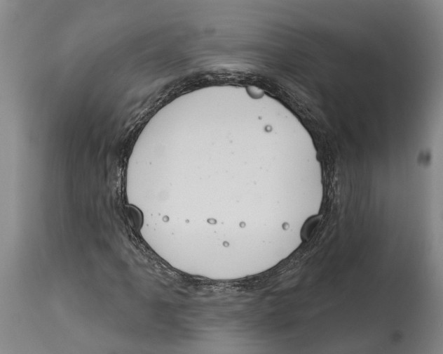 X0000114161061200911051459