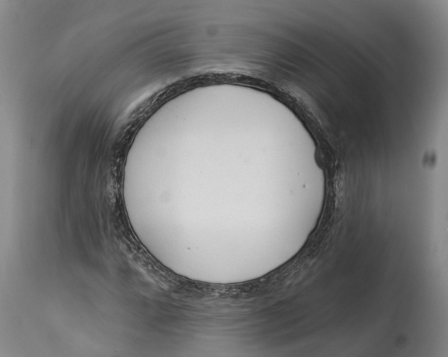 X0000114161064200911051459