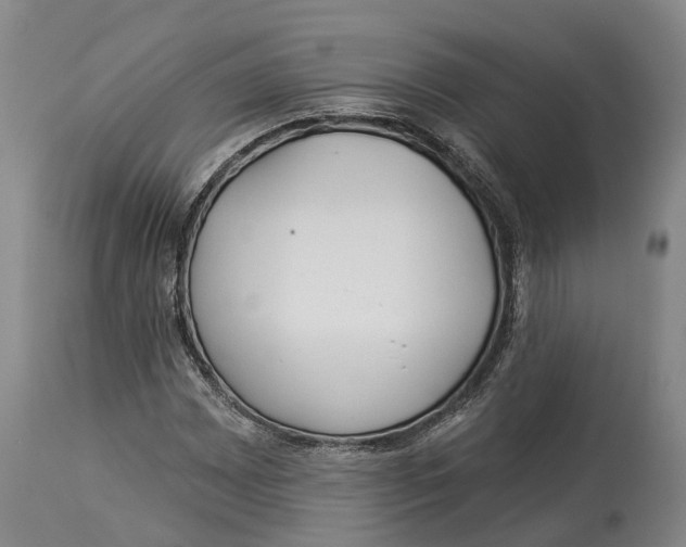 X0000114161065200911051459