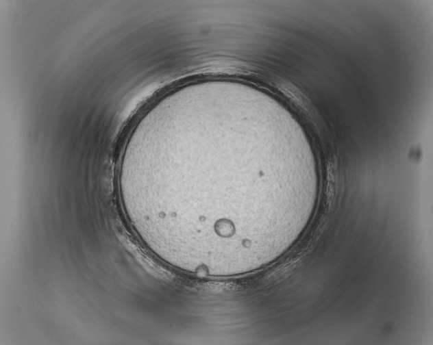 X0000114161067200911051459