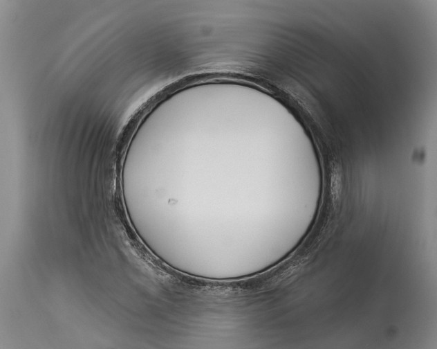 X0000114161069200911051459