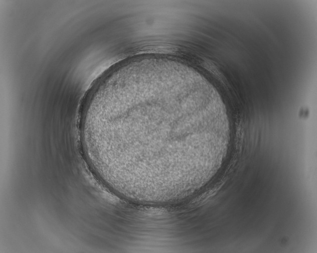 X0000114161071200911051459