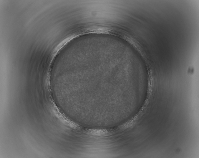 X0000114161074200911051459