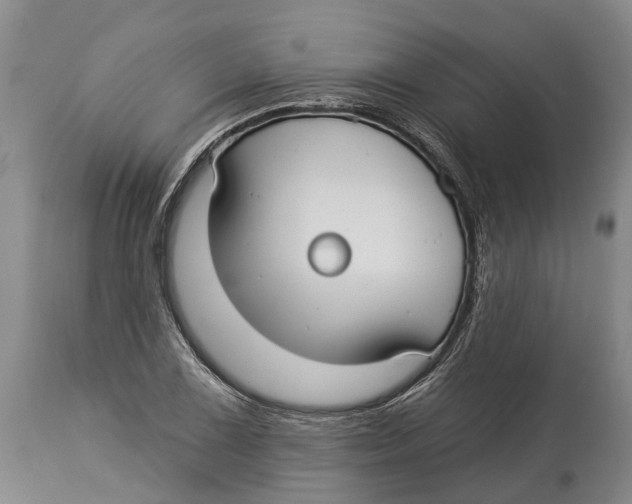 X0000114161075200911051459