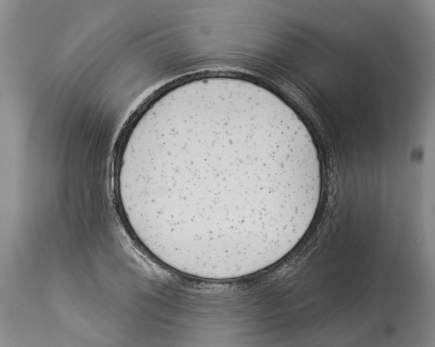 X0000114161076200911051459