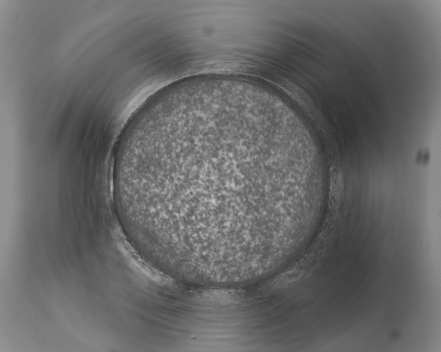 X0000114161078200911051459