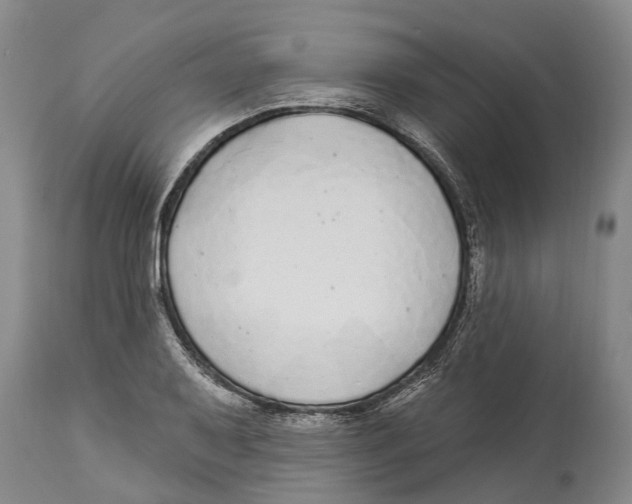 X0000114161079200911051459