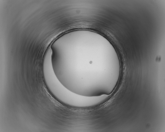 X0000114161081200911051459