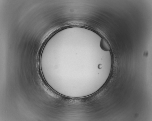 X0000114161082200911051459