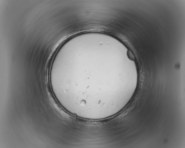 X0000114161083200911051459