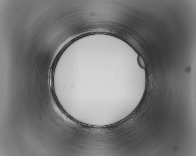 X0000114161084200911051459