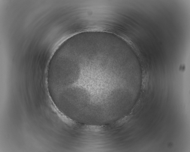 X0000114161086200911051459