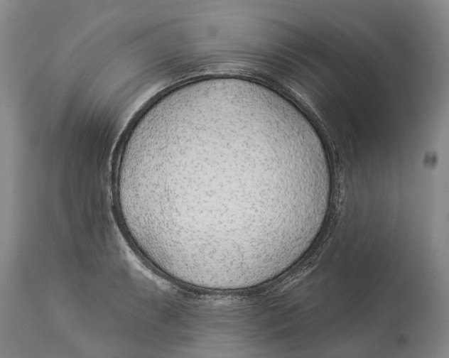 X0000114161087200911051459