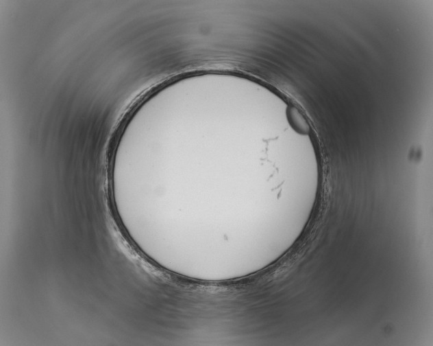 X0000114161088200911051459