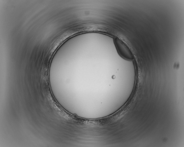 X0000114161089200911051459