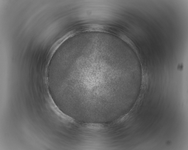 X0000114161090200911051459