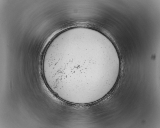 X0000114161091200911051459