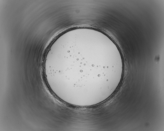 X0000114161093200911051459