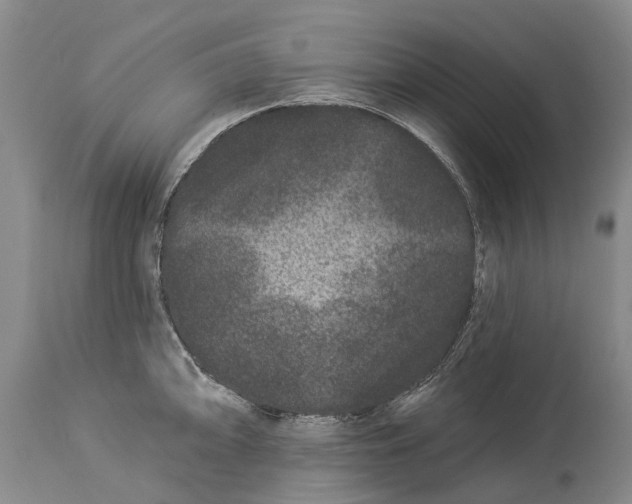 X0000114161094200911051459