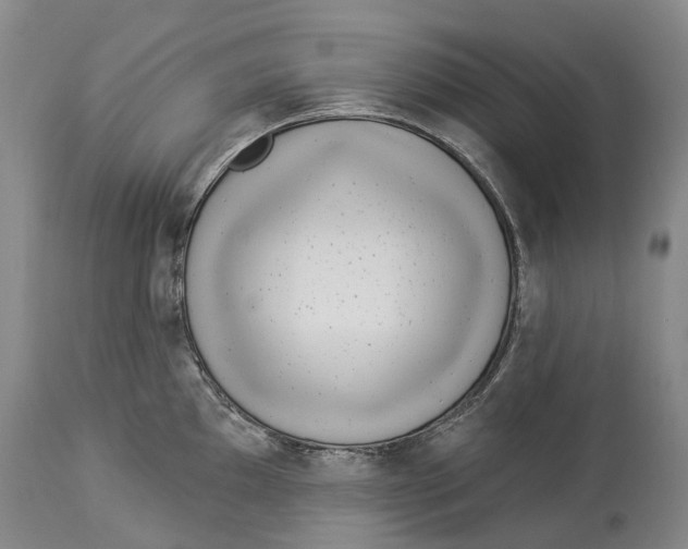 X0000114161097200911051459