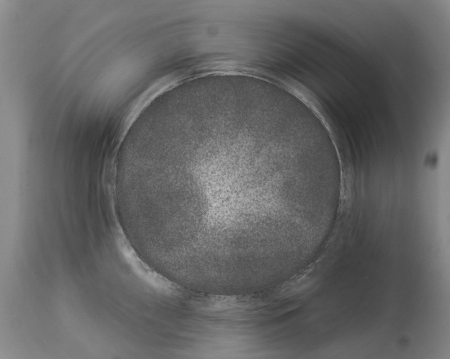 X0000114161098200911051459